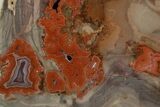 Polished Devil's Red Agate Slab - TeePee Canyon, South Dakota #373413-1